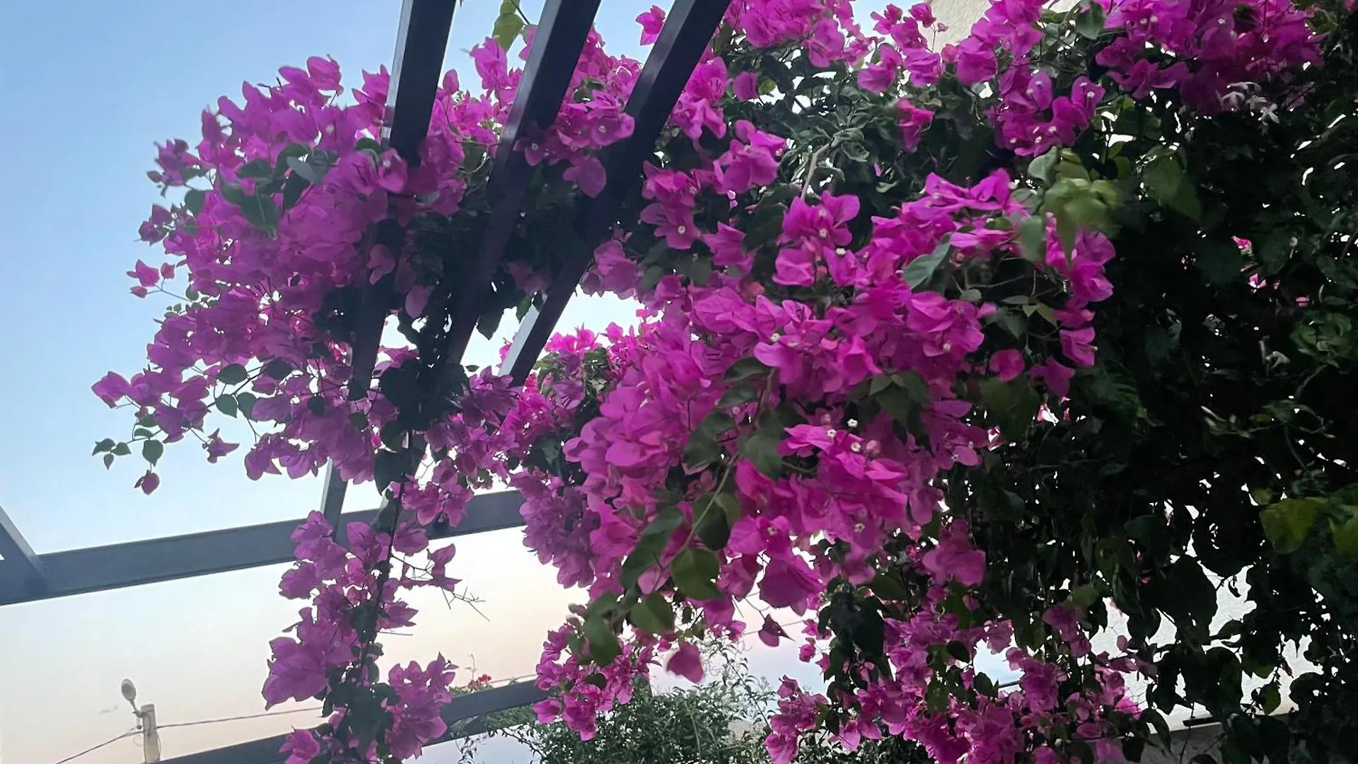 Bodrumda Deniz Ve Doga Manzarali Full Esyali Lueks Villa
